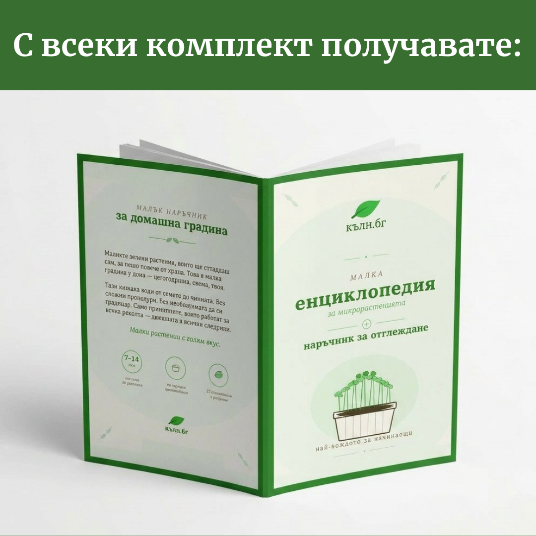 Кълн.бг снимка 7